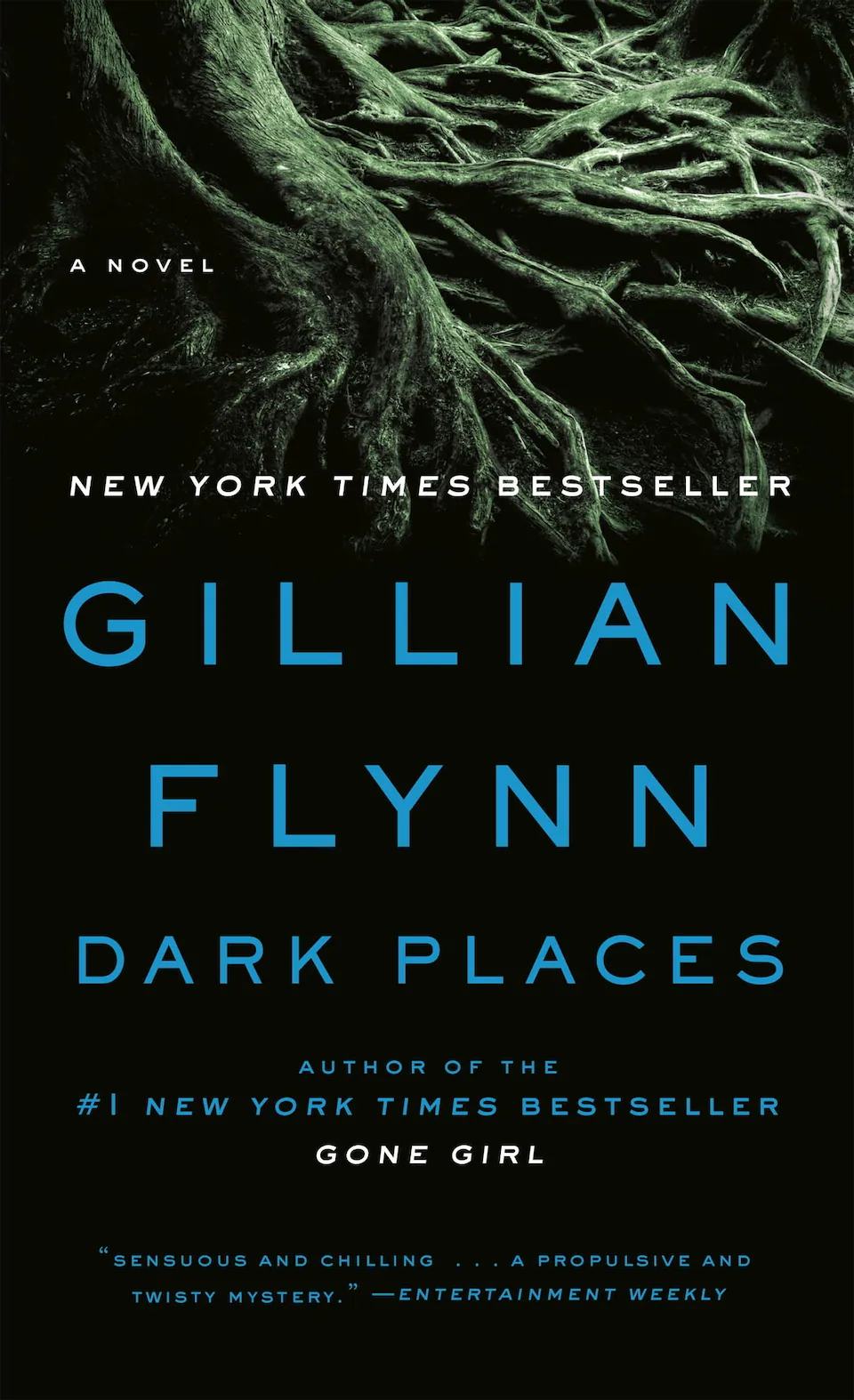 Dark Places by Gillian Flynn finished on 2018 Oct 09