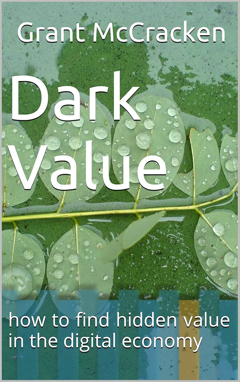 Dark Value: How to find hidden value in the digital economy by Grant McCracken