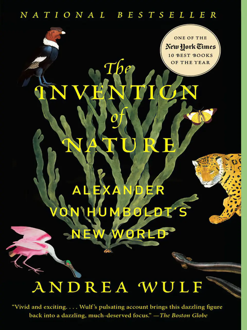 The Invention of Nature: Alexander Von Humboldt's New World by Andrea Wulf